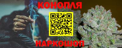 шишки Дубна
