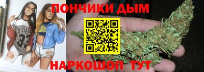 шишки Дубна
